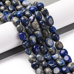 Natural Lapis Lazuli Beads Strands&nbsp;G-G146-A34-01