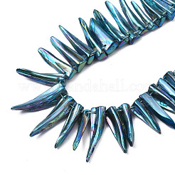 Electroplated Natural Freshwater Shell Beads&nbsp;SHEL-N026-197B