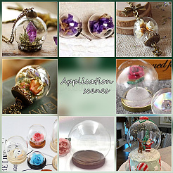 8 Sets 2 Style Glass Dome Cover&nbsp;DJEW-PH0001-28