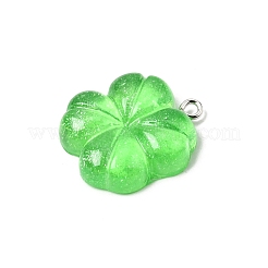 Transparent Resin & Glitter Powder Pendants&nbsp;RESI-B041-01