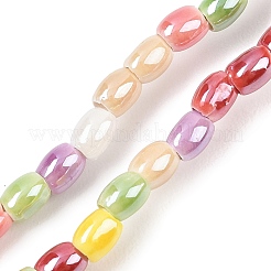 Handmade Porcelain Beads Strands&nbsp;PORC-B008-01