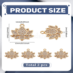 2Pcs Brass Micro Pave Cubic Zirconia Charms&nbsp;ZIRC-LP0001-63