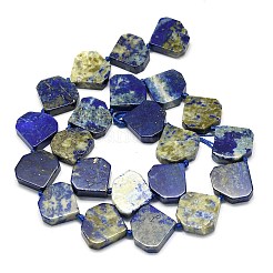 Natural Lapis Lazuli Beads Strands&nbsp;G-G106-E04-01