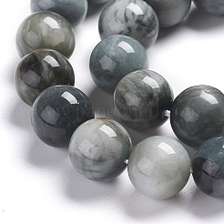 Natural Eagle Eye Beads Strands&nbsp;G-I281-02-4mm