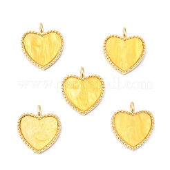 Acrylic Pendants&nbsp;FIND-B011-02F