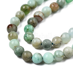 Natural Chrysoprase Beads Strands&nbsp;G-S333-4mm-016