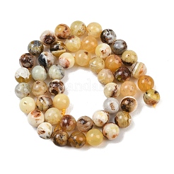 Natural Yellow Opal Beads Strands&nbsp;G-G992-A02-A