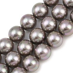 Electroplated Glass Pearl Graduated Beads Strands&nbsp;BSHE-C011-03E
