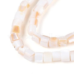 Natural Freshwater Shell Beads Strands&nbsp;SHEL-N027-09A