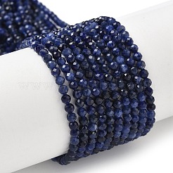 Natural Sodalite Beads Strands&nbsp;G-L622-C04-3mm