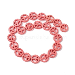 Synthetic Turquoise Beads Strands&nbsp;G-P505-01