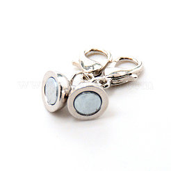 Alloy Magnetic Clasps&nbsp;FIND-CJC0012-003P