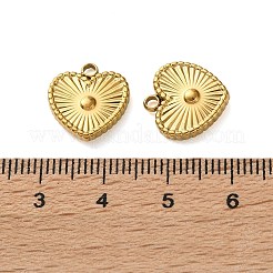 304 Stainless Steel Charms&nbsp;STAS-P440-01G