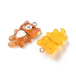 Transparent Resin Pendants&nbsp;FIND-A058-04