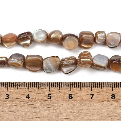 Natural Trochus Shell Beads Strands&nbsp;BSHE-Q050-01A-1