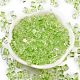 Spray Painted Glass Seed Beads&nbsp;SEED-A034-01F-2