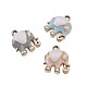 Alloy Enamel Pendants&nbsp;ENAM-TA0001-12-5