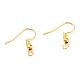 Iron Earring Hooks&nbsp;E135-NFG-1