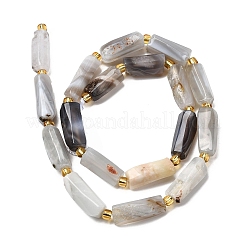 Natural Botswana Agate Beads Strands&nbsp;G-D353-A11