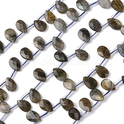 Natural Labradorite Beads Strands&nbsp;G-L654-K02-01