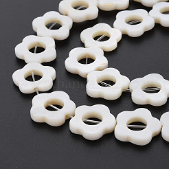 Freshwater Shell Beads Frames Strands&nbsp;LS-SHEL-T009-14A