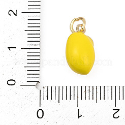 Brass with Enamel Charms&nbsp;LS-KK-Q096-16A-G
