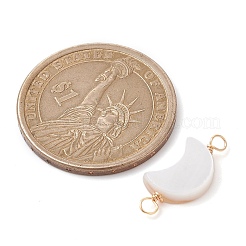 2Pcs 2 Styles Natural Freshwater Shell Connector Charms&nbsp;PALLOY-JF02440-02
