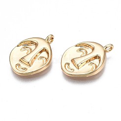 Brass Pendants&nbsp;KK-N232-248
