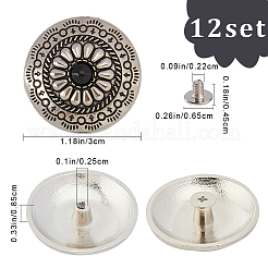 12 Sets Alloy & Turquoise Craft Solid Screw Rivet&nbsp;FIND-GF0005-07B