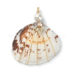 Natural Shell Copper Wire Wrapped Pendants&nbsp;PALLOY-TA00078-03