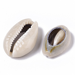 Natural Cowrie Shell Beads&nbsp;SSHEL-N034-33