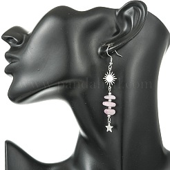 304 Stainless Steel Dangle Earrings&nbsp;EJEW-JE07301-02