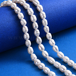 Natural Cultured Freshwater Pearl Beads Strands&nbsp;PEAR-N012-06D