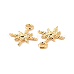 Ion Plating(IP) 304 Stainless Steel Charms&nbsp;X-STAS-F293-42G