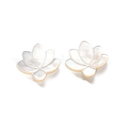 Natural White Shell Beads&nbsp;BSHE-Z008-09