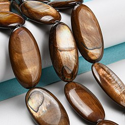 Dyed Natural Freshwater Shell Beads Strands&nbsp;BSHE-G034-23