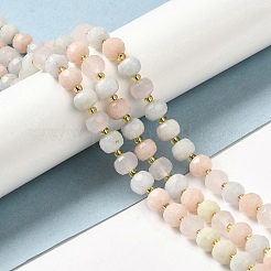 Natural Morganite Beads Strands&nbsp;G-P508-A14-01