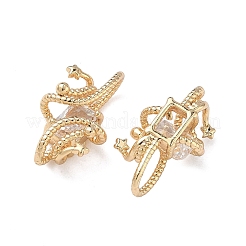 Brass Cubic Zirconia Pendants&nbsp;KK-C168-09G-01