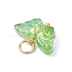 Electroplating Glass Charms&nbsp;PALLOY-JF04295-01