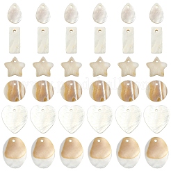 30Pcs 6 Styles Natural Freshwater Shell Pendants Sets&nbsp;SHEL-YW0001-11