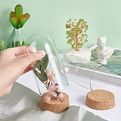 Glass Dome Cover&nbsp;AJEW-PH0004-19B