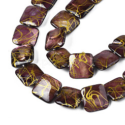 Natural Freshwater Shell Beads Strands&nbsp;SHEL-N026-173