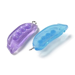 Transparent Resin Pendants&nbsp;RESI-D071-02