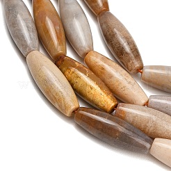 Natural Fossil Coral Beads Strands&nbsp;GG-CBA362F-03
