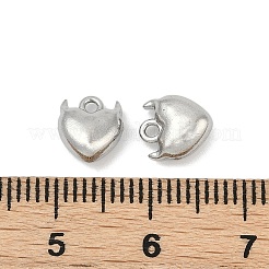 304 Stainless Steel Charms&nbsp;STAS-E500-05P