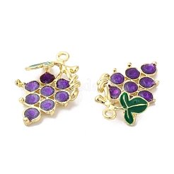 Alloy Enamel Pendants&nbsp;ENAM-D046-23G-01
