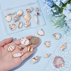 24Pcs 12 Styles Electroplated Natural Shell Pendants&nbsp;SSHEL-ME0001-06