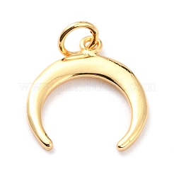 Brass Pendants&nbsp;KK-M218-12G-RS