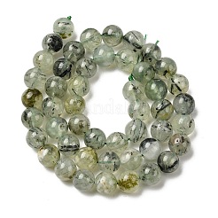Natural Prehnite Beads Strands&nbsp;G-G457-8mm-03