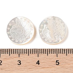 Natural White Shell Carved Cabochons&nbsp;SSHEL-C012-22A